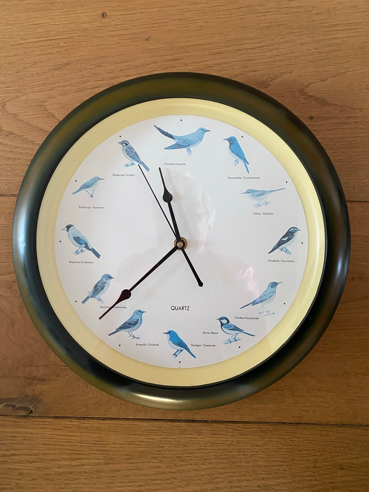 Wandklok met vogelafbeeldingen en geluiden, Huis en Inrichting, Analoog, Werkt op batterijen, Ophalen of Verzenden, Wandklok