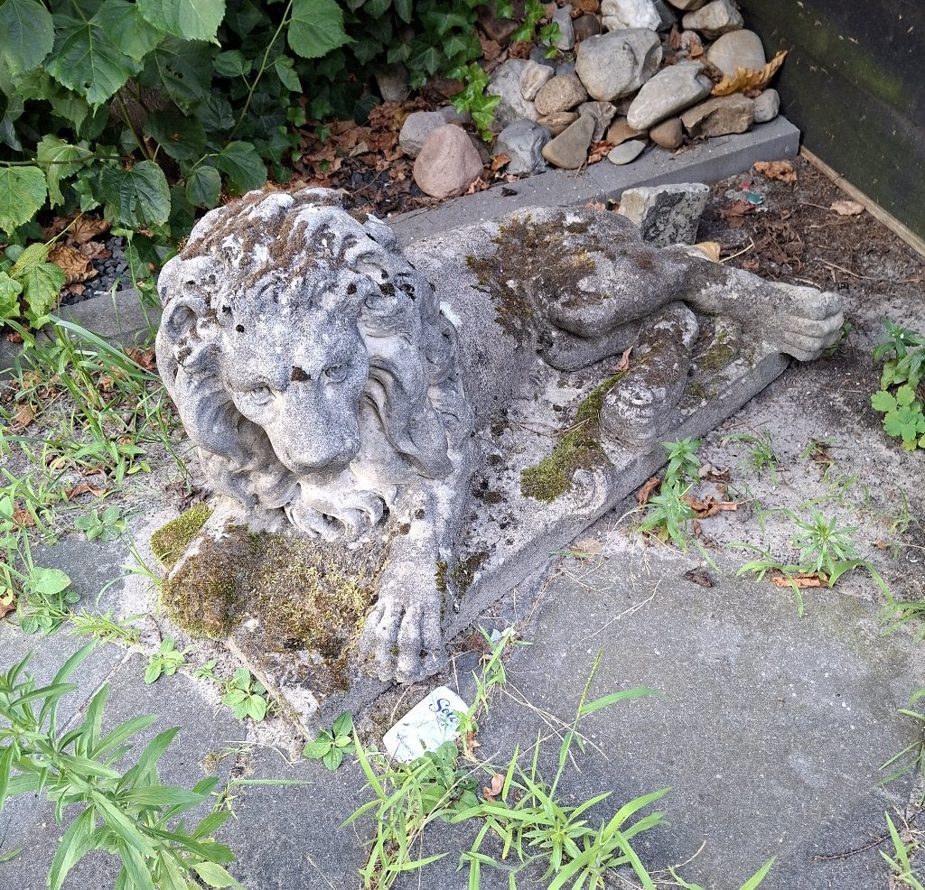 stenen leeuwen, Tuin en Terras, Tuinbeelden, Ophalen, Gebruikt, Steen, Dierenbeeld