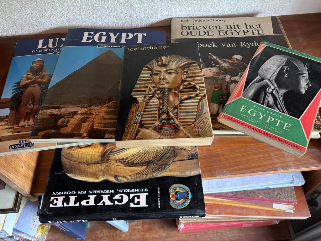 Boeken over Egypte - Toetanchamon, farao’s en piramides, Ophalen of Verzenden, 20e eeuw of later, Gelezen
