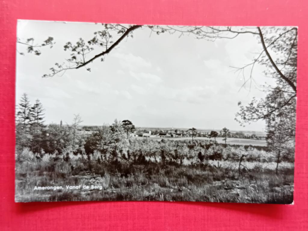 Ansichtkaart Amerongen, Ophalen of Verzenden, 1940 tot 1960, Gelderland