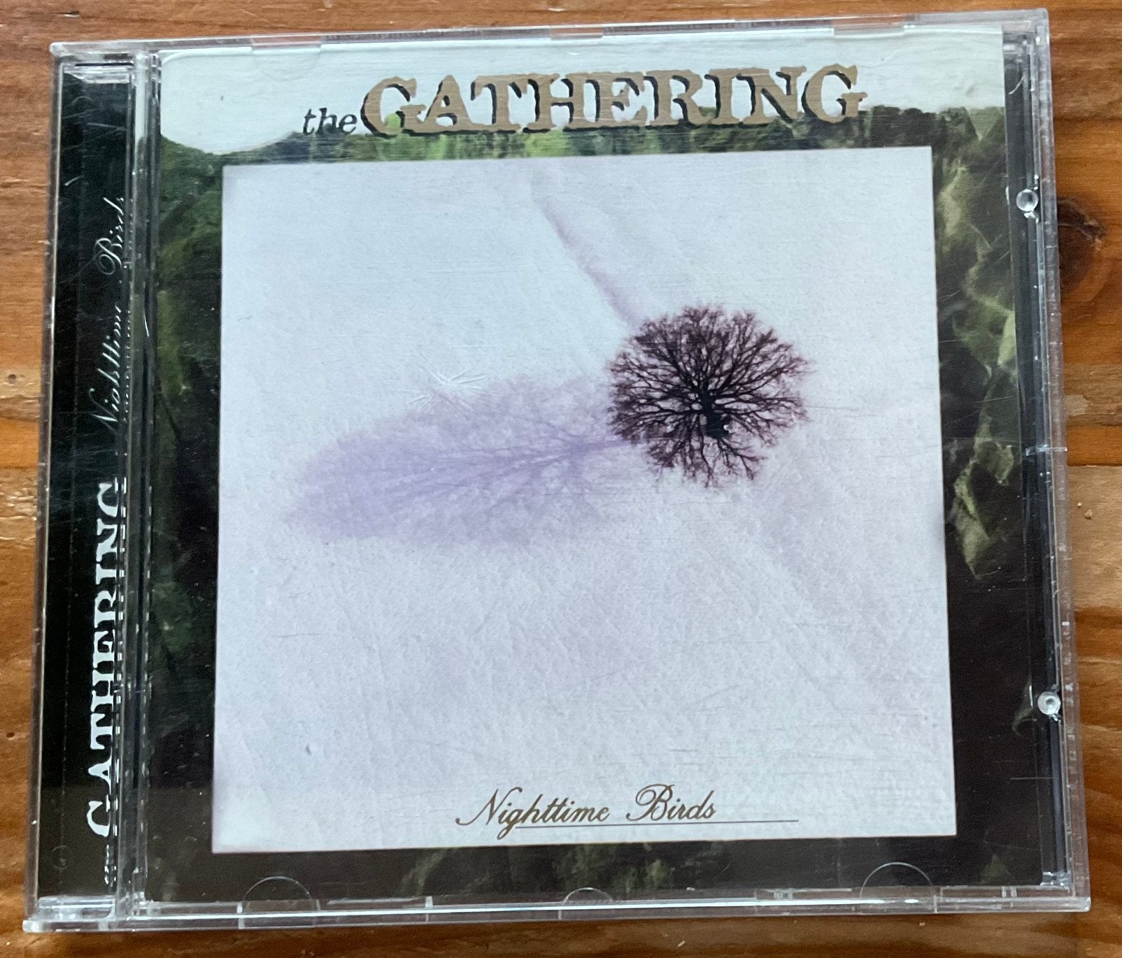The Gathering - Nighttime Birds (Anneke v. Giersbergen) cd, Cd's en Dvd's, Ophalen of Verzenden, Zo goed als nieuw