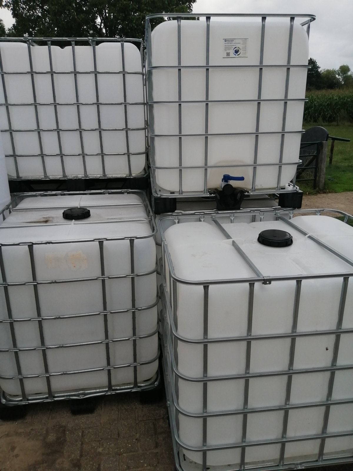 Ibc container/ibc vat/regenton/regenvat/1000 liter/slow feed, Tuin en Terras, Ophalen, Kunststof, Met kraantje, 150 liter of meer
