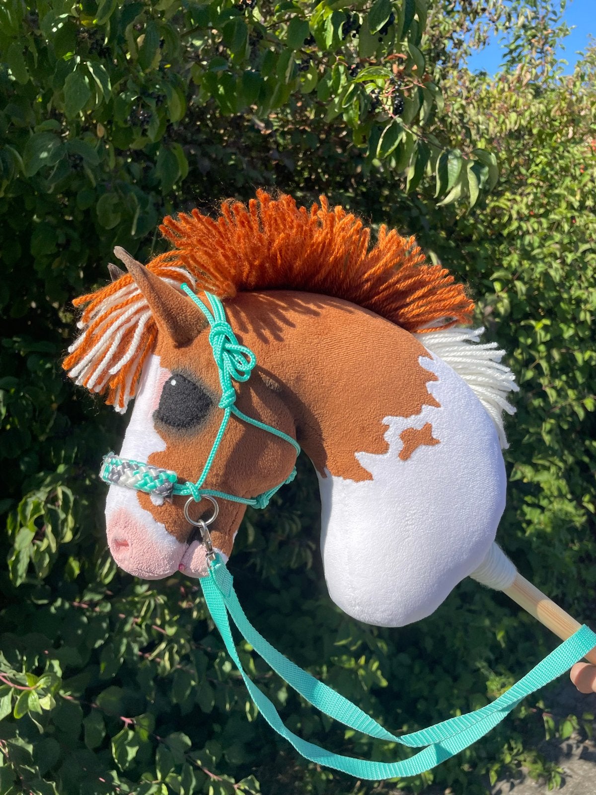 Hobby horse, Ophalen of Verzenden, Nieuw, Jongen of Meisje