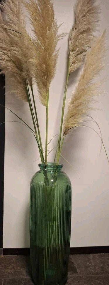 Nieuwe Mica XL vaas met pampaspluimen, Nieuw, Ophalen of Verzenden, Glas, 70 cm
