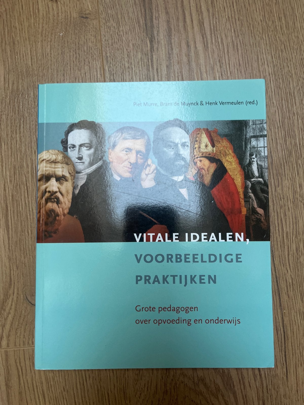 Vitale idealen, voorbeeldige praktijken - Pedagogiek, Ophalen of Verzenden, Gamma, Zo goed als nieuw, HBO