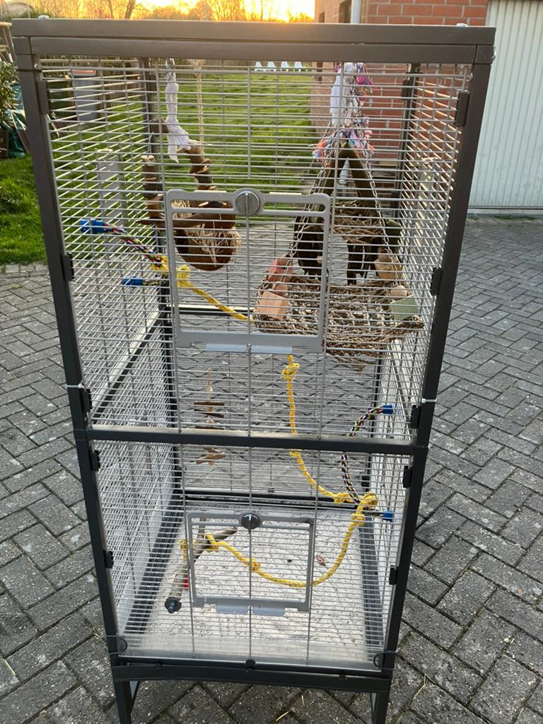 2 vogelkooien, accessoires, bodembedekking (compleet pakket), Ophalen of Verzenden, Zo goed als nieuw, Metaal, Vogelkooi
