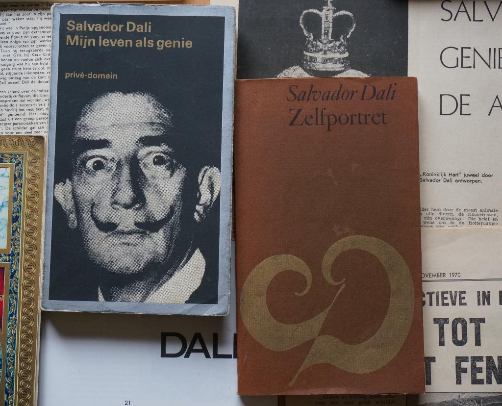 Salvador Dali, varia, Ophalen of Verzenden, Gebruikt