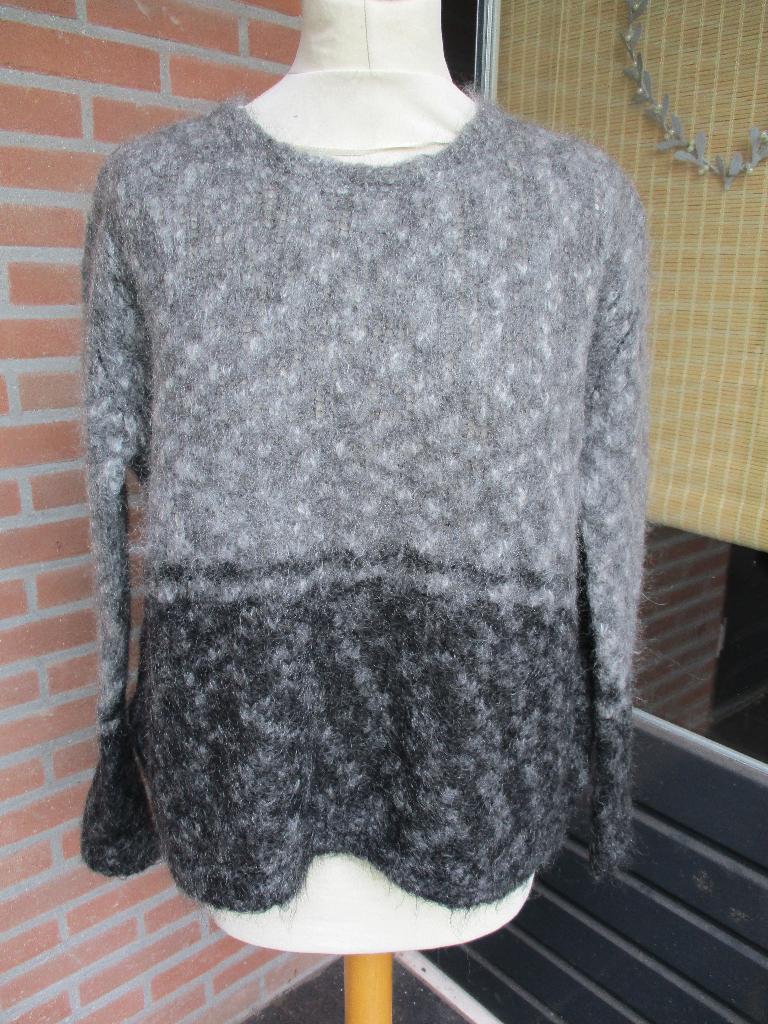 Passport, size M NIEUW!, Maat 38/40 (M), Passport, Verzenden, Nieuw