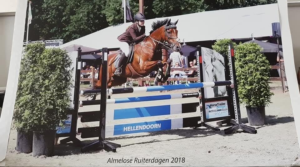 Zz springpony te lease /verzorgpony / halve stal, Dieren en Toebehoren, Ophalen of Verzenden, Nieuw, Springen