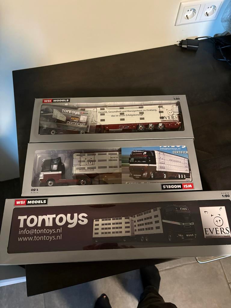 WSI 1:50 Complete Set Evers & Posthouwer met Certificaat, Hobby en Vrije tijd, Modelauto's | 1:50, Ophalen of Verzenden, Zo goed als nieuw