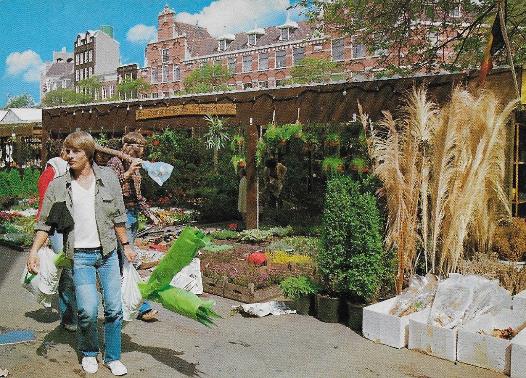 Amsterdam bloemenmarkt ongelopen ansichtkaart ( 1385, Ophalen of Verzenden, 1980 tot heden, Ongelopen, Noord-Holland