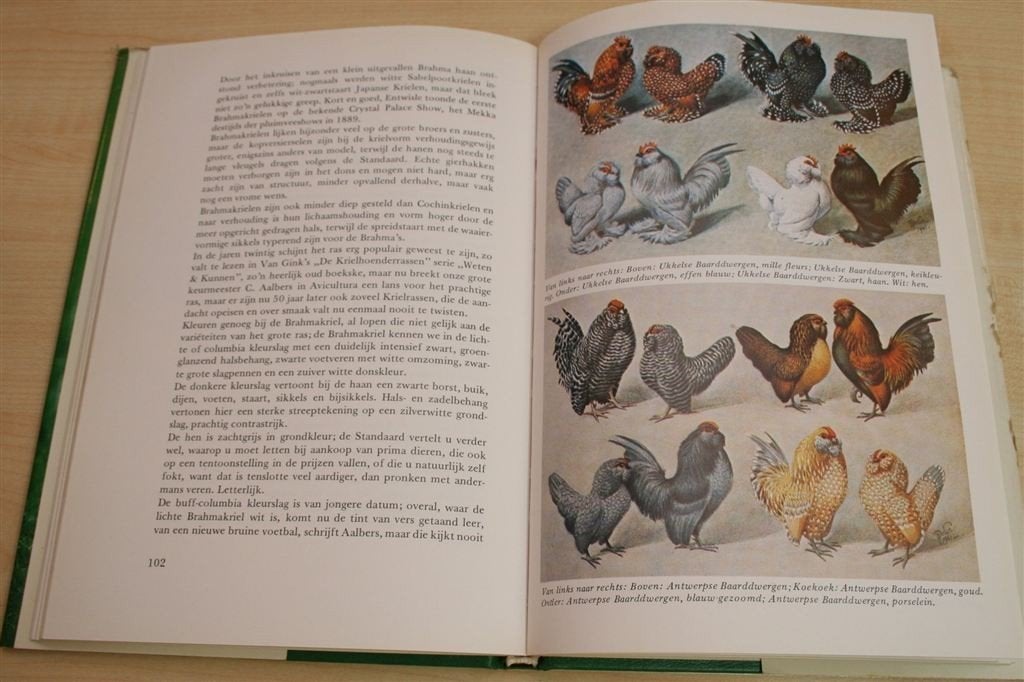 Krielkippen — Houden, Broeden en Opfokken van Dwerghoenders, Boeken, Ophalen of Verzenden, Gelezen, Katten