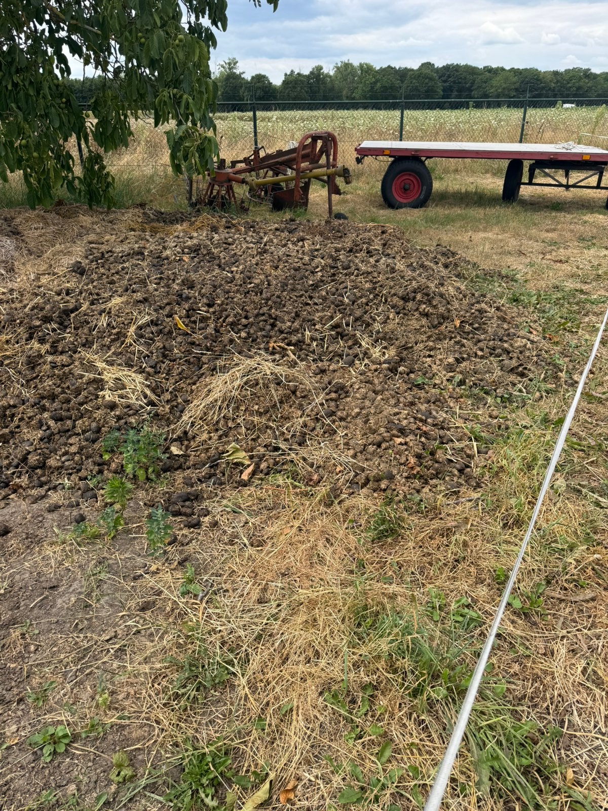 Paardenmest gratis, Ophalen