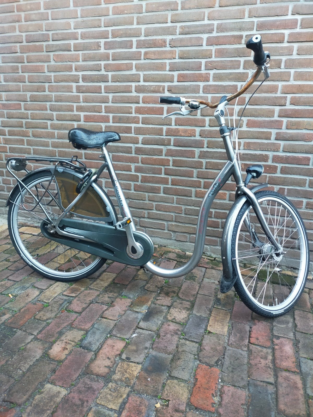 Sparta Entree Damesfiets - Lage Instap, Ophalen, Sparta, Velgrem, Minder dan 47 cm