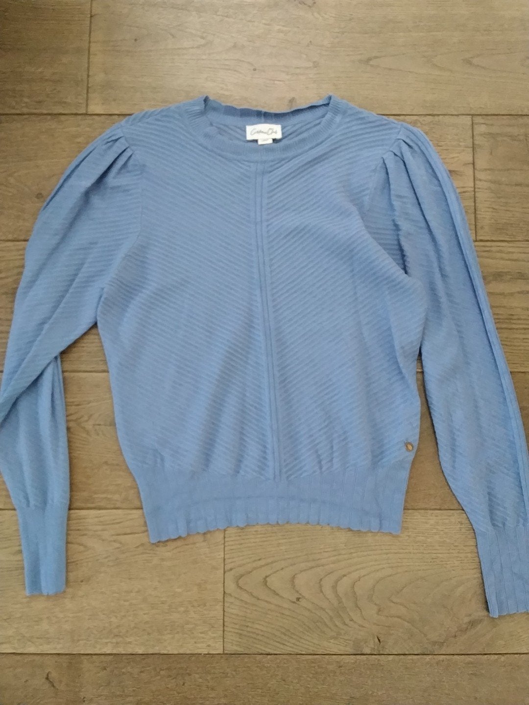 blauwe trui maat L van COTTON CLUB, Maat 38/40 (M), Blauw, Ophalen of Verzenden, Zo goed als nieuw