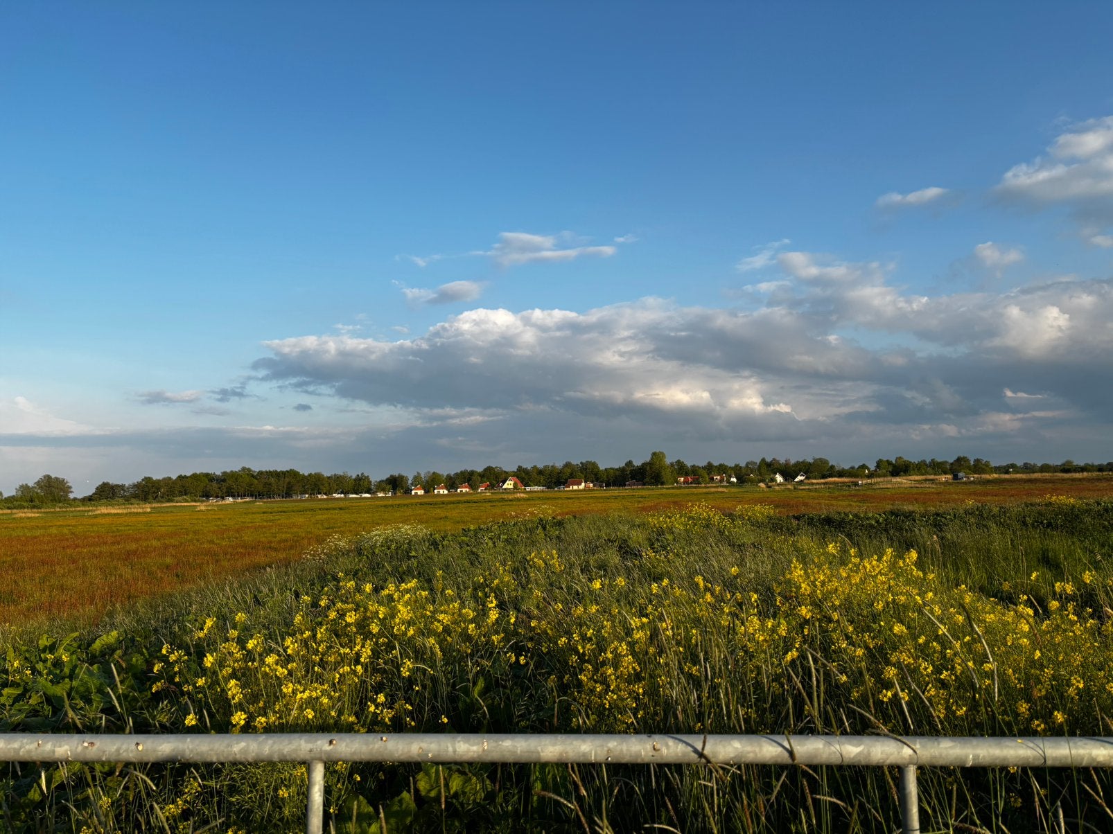Weiland gezocht, Dieren en Toebehoren, Stalling, 2 of 3 paarden of pony's
