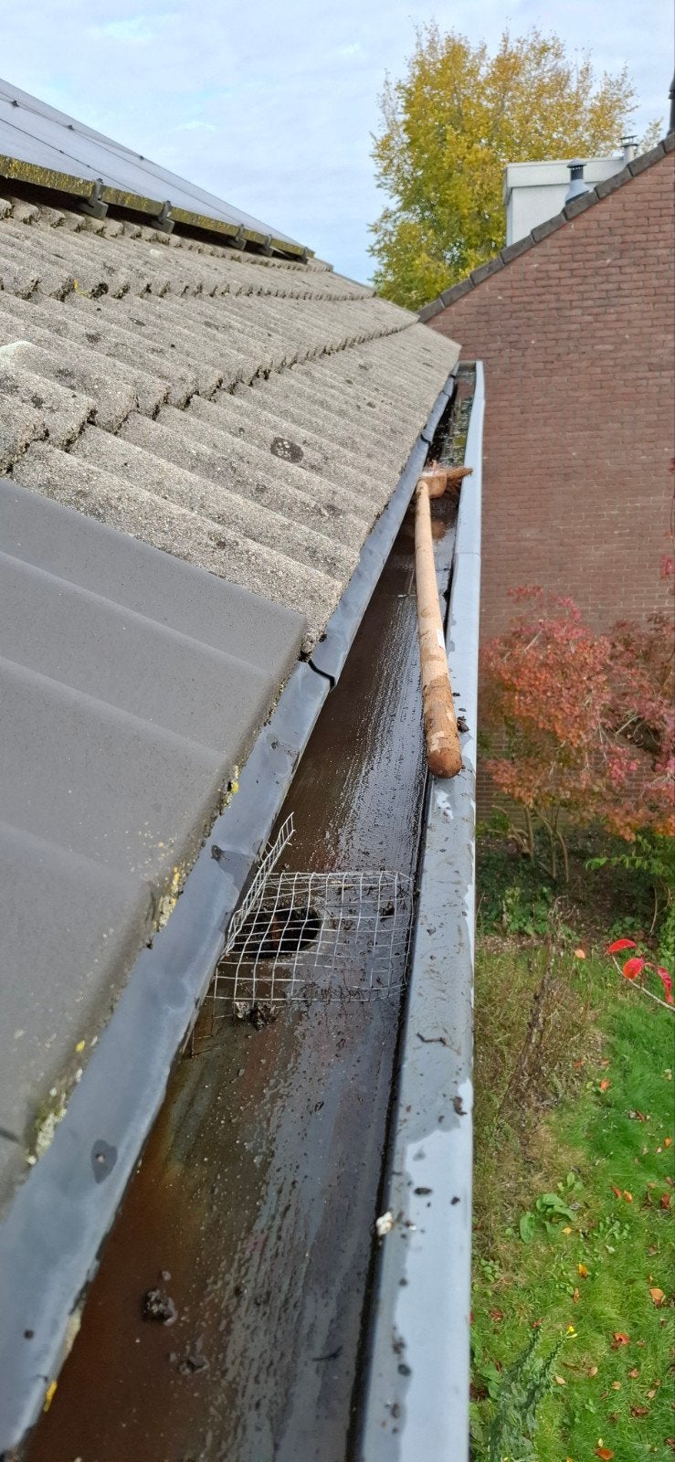 Foto 8 van Glazenwasser Emmen | Ramen, Dakgoten & Zonnepanelen & boeien