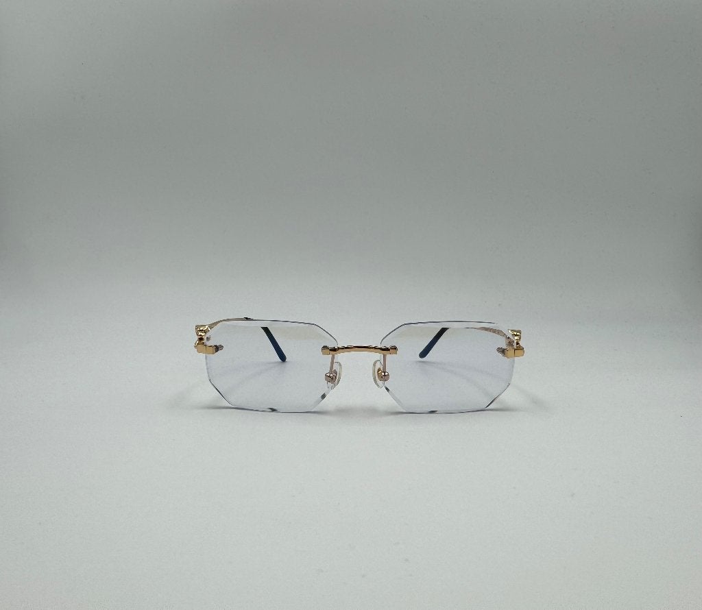 Cartier panter 3d bril, Overige merken, Overige kleuren, Nieuw, Ophalen of Verzenden