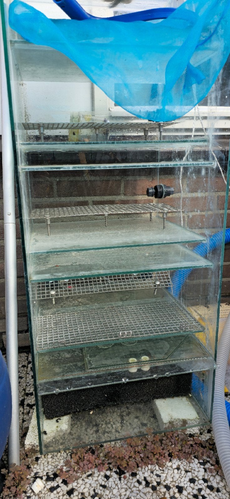 aqaurium bioloog, Dieren en Toebehoren, Ophalen, Gebruikt, Filter