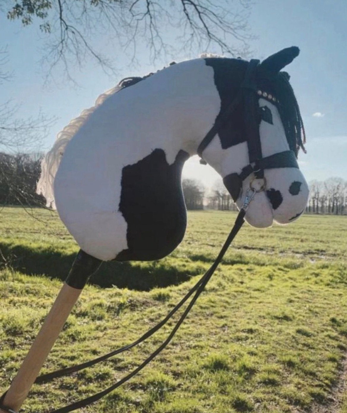 Mooie unieke hobbyhorse, Dieren en Toebehoren, Ophalen of Verzenden, Zo goed als nieuw