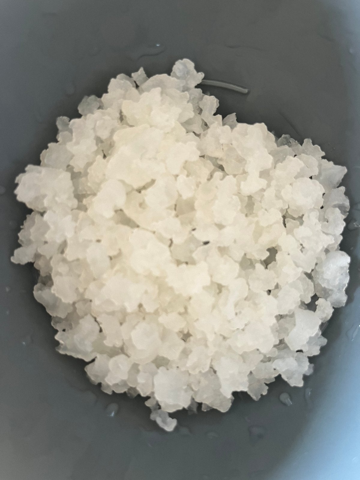 Water kefirkorrels 75 gram biologisch en vers, Diversen, Levensmiddelen, Ophalen