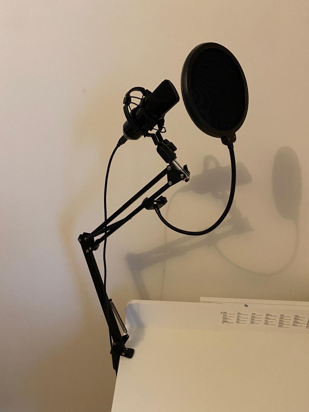 Studiomicrofoon met standaard en popfilter, Muziek en Instrumenten, Microfoons, Ophalen of Verzenden, Zo goed als nieuw, Studiomicrofoon
