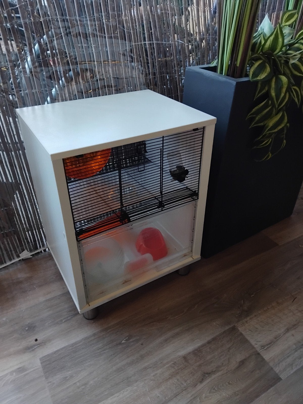 omlet qute hamsterkooi, Kooi, Minder dan 75 cm, Zo goed als nieuw, Ophalen
