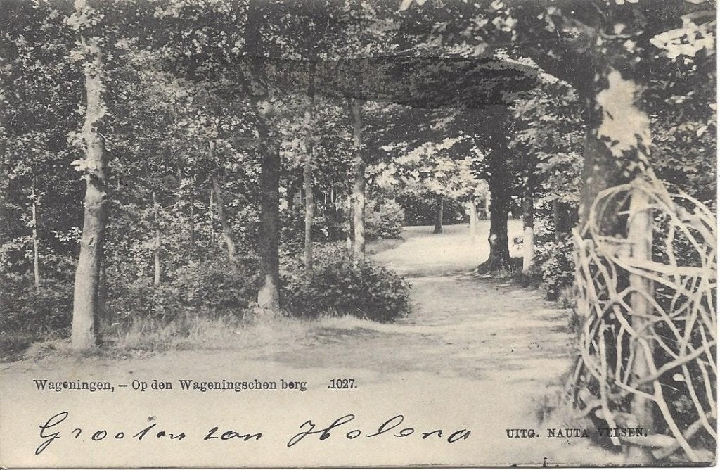 Wageningen, Op den Wageningschen Berg, gel. 1904. Nauta 1027, Ophalen of Verzenden, Voor 1920, Gelopen, Gelderland