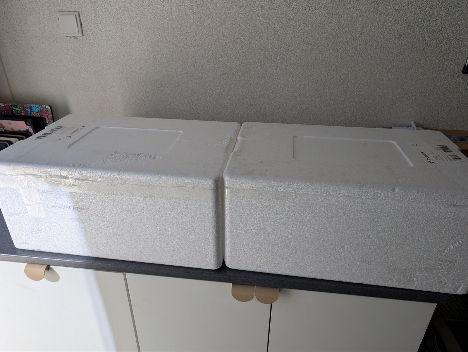 2x Piepschuim dozen - Ideaal voor isolatie of opslag, Ophalen, 40 tot 60 cm, 50 tot 75 cm, 35 tot 50 cm