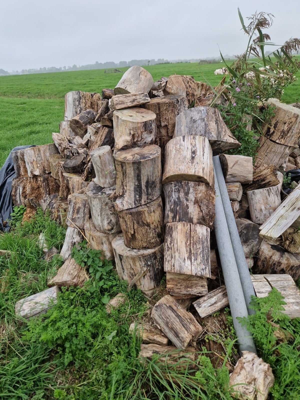 kachelhout, Minder dan 3 m³, Ophalen