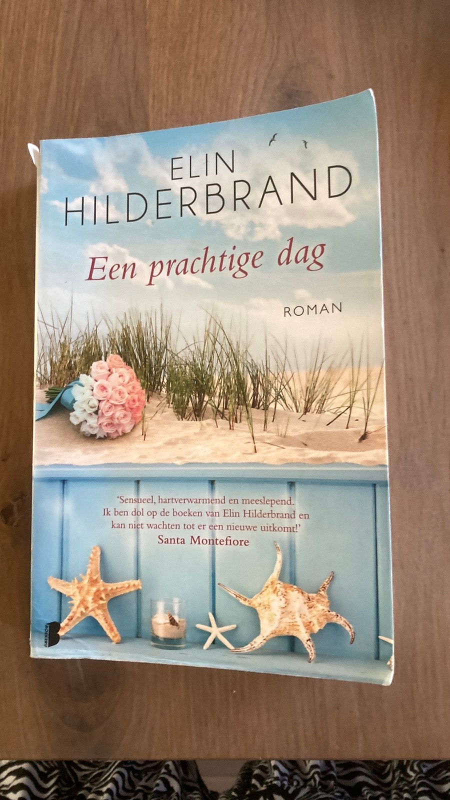 Elin Hilderbrand - Een prachtige dag, Ophalen of Verzenden, Zo goed als nieuw