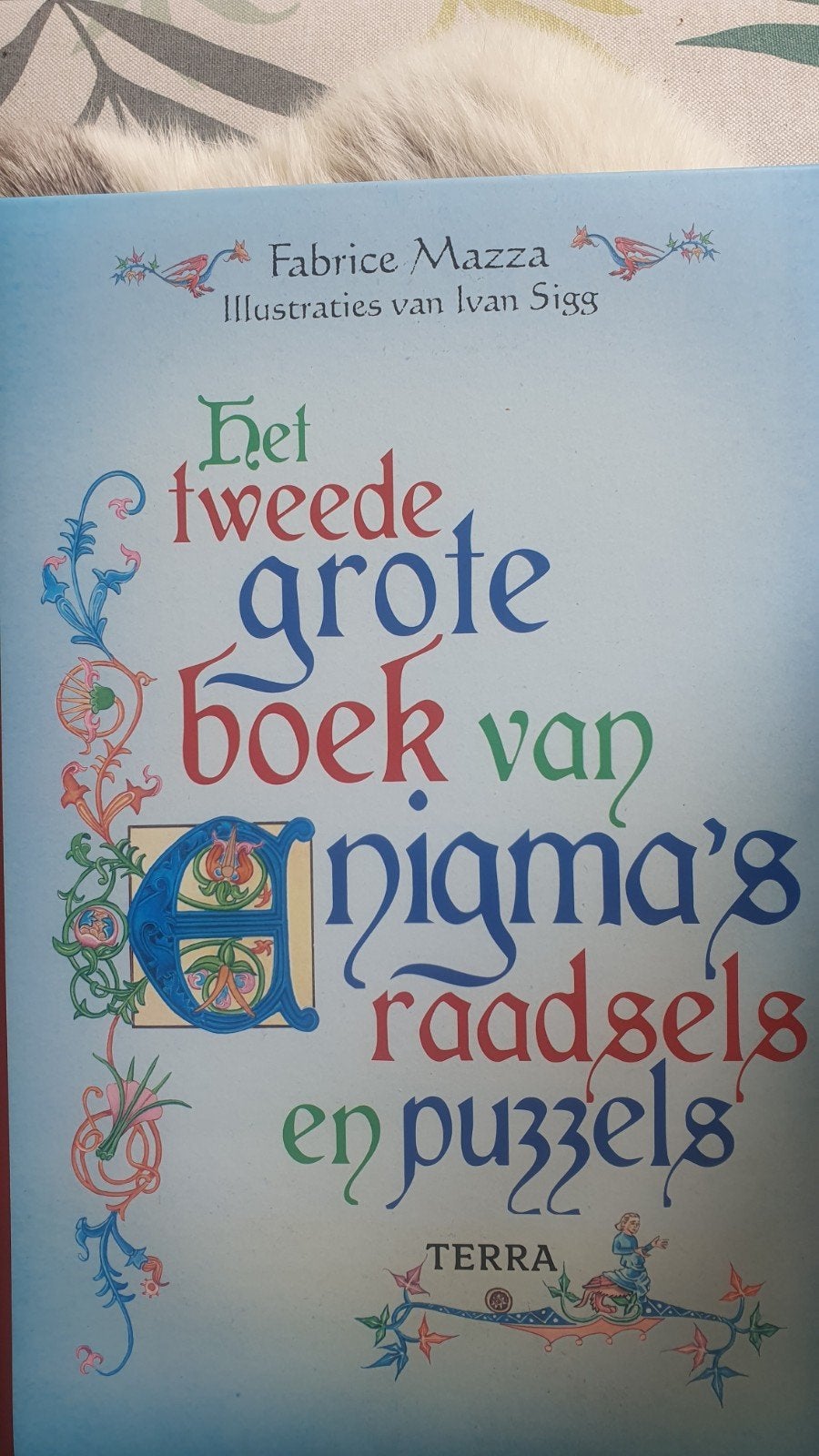 Het tweede grote boek van enigma's, raadsels en puzzels, Ophalen of Verzenden, Nieuw, Puzzelboek