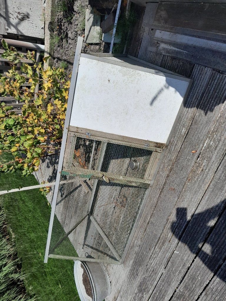 konijnen ren met nachthok, Ophalen of Verzenden, 90 cm of meer, Konijn, Ren