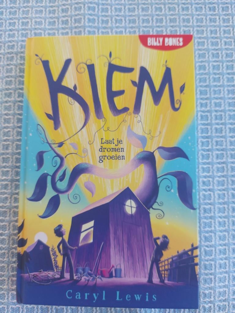 Kiem - Laat je dromen groeien - Caryl Lewis, Ophalen of Verzenden, Zo goed als nieuw, Caryl Lewis, Fictie algemeen