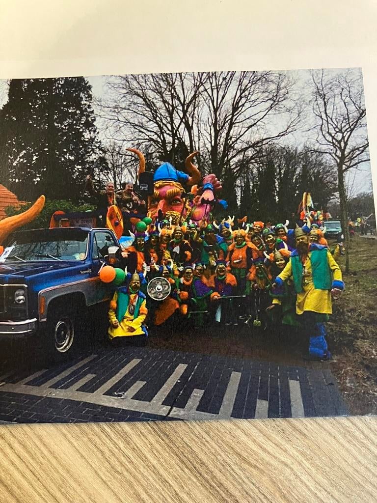 Carnavalskleding groep viking, Ophalen of Verzenden, Zo goed als nieuw, Maat 38/40 (M), Carnaval