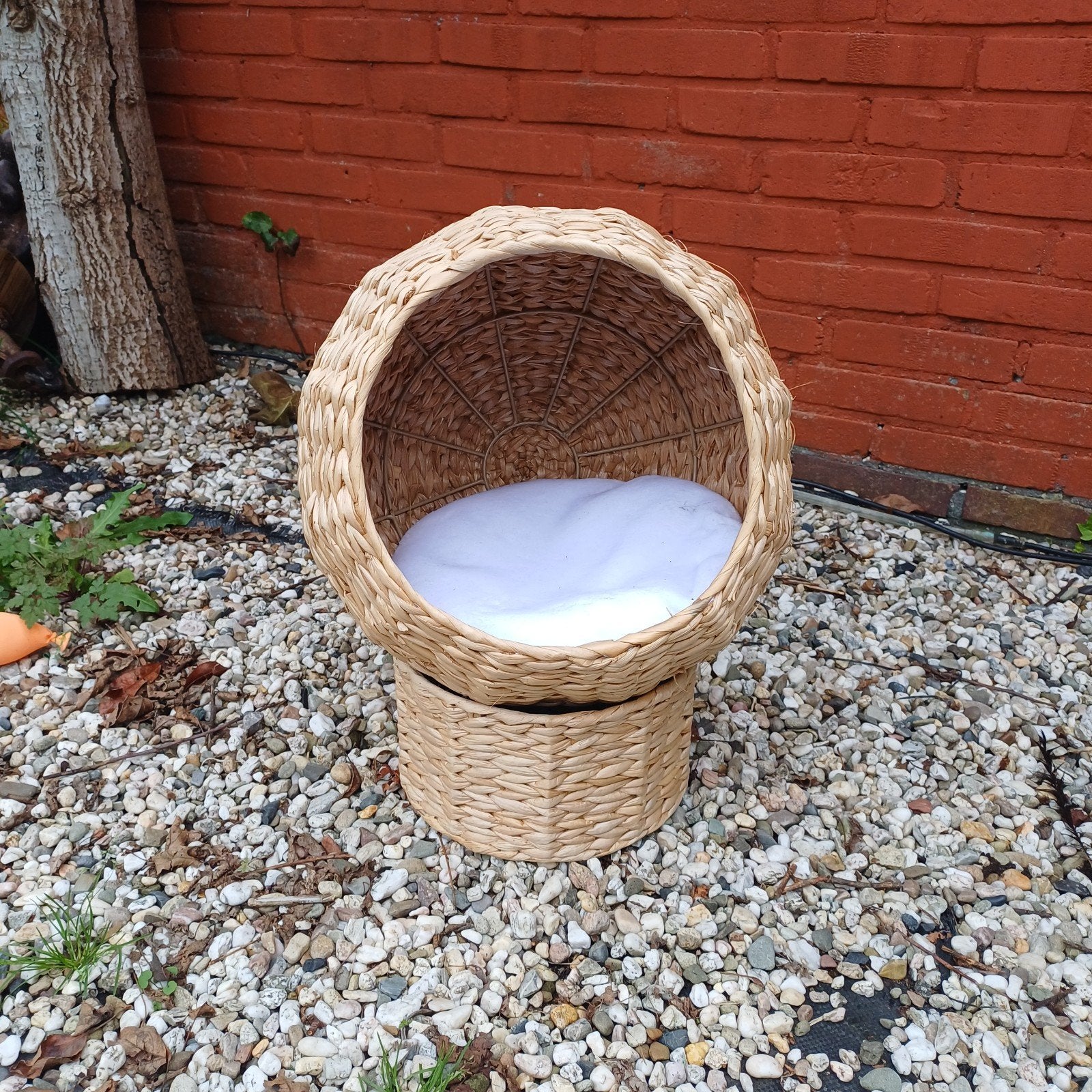 leuk ongebruikt kattenmandje, Ophalen, Nieuw, Pluche