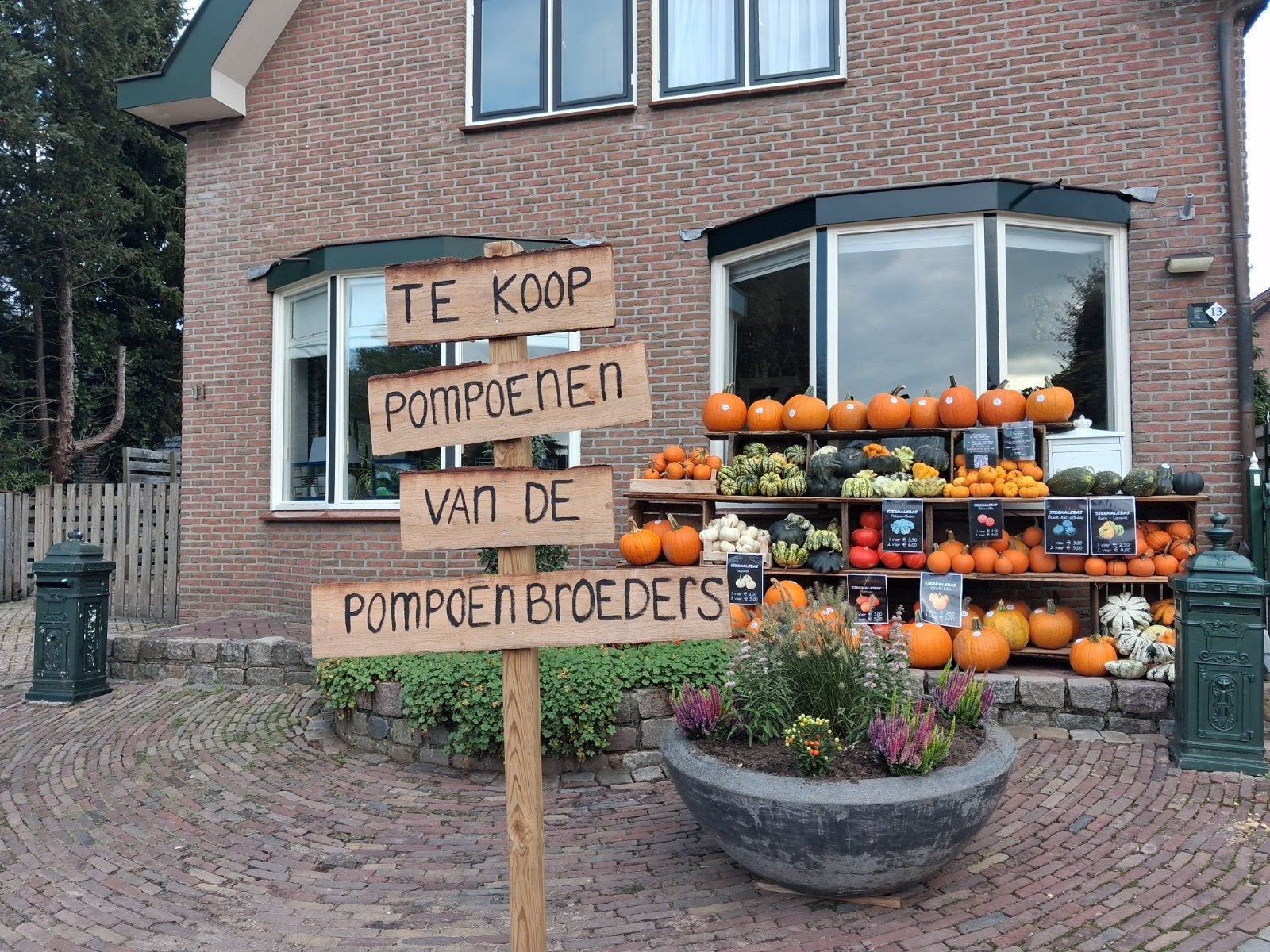 Diverse sierkalebas en pompoenen te koop, Ophalen, Overige soorten, Minder dan 100 cm