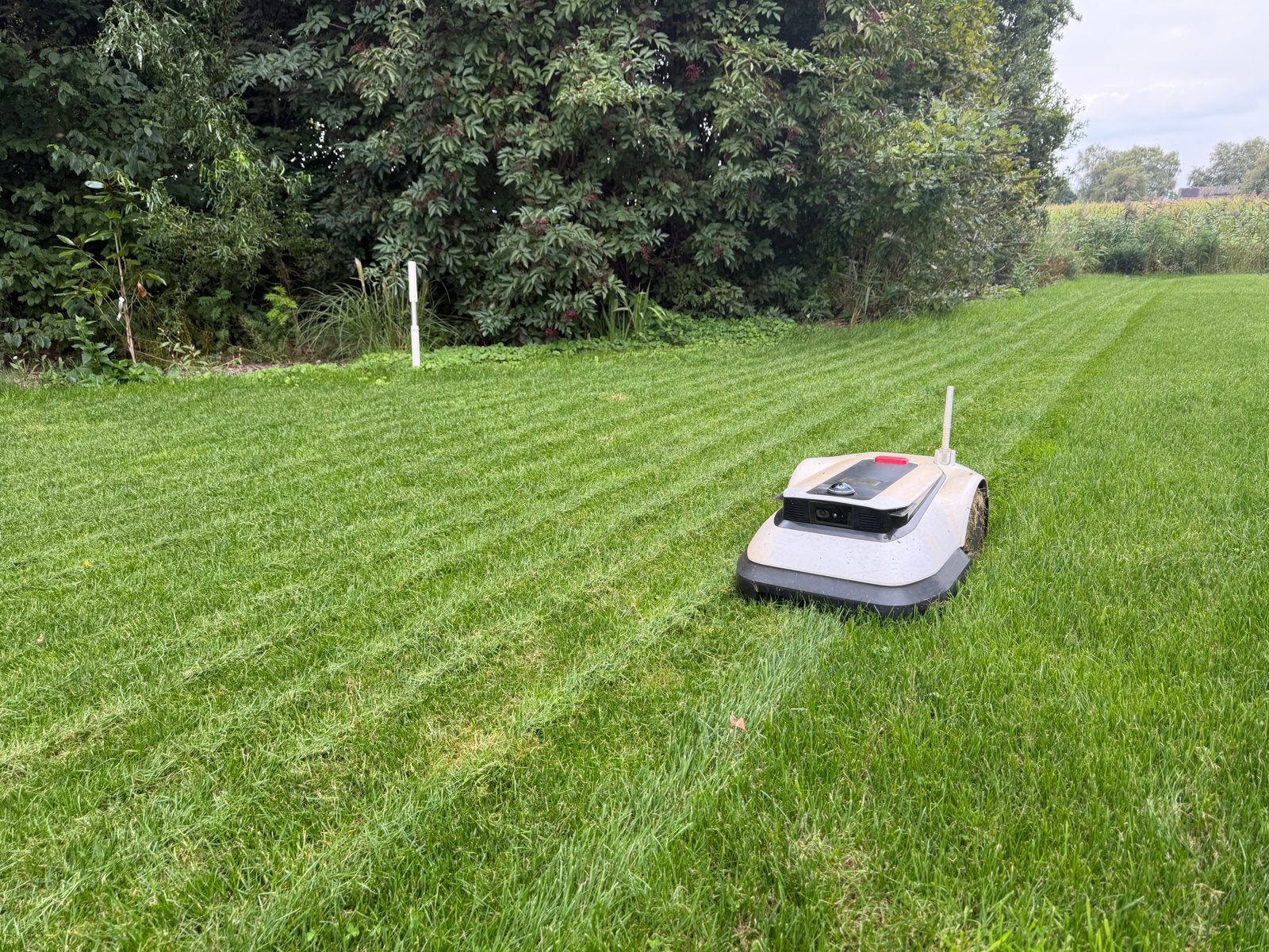 Ecovacs Goat G1600 - maaien zonder draad, Tuin en Terras, Ophalen, Gebruikt, Meer dan 25 cm, Bestuurbaar via app