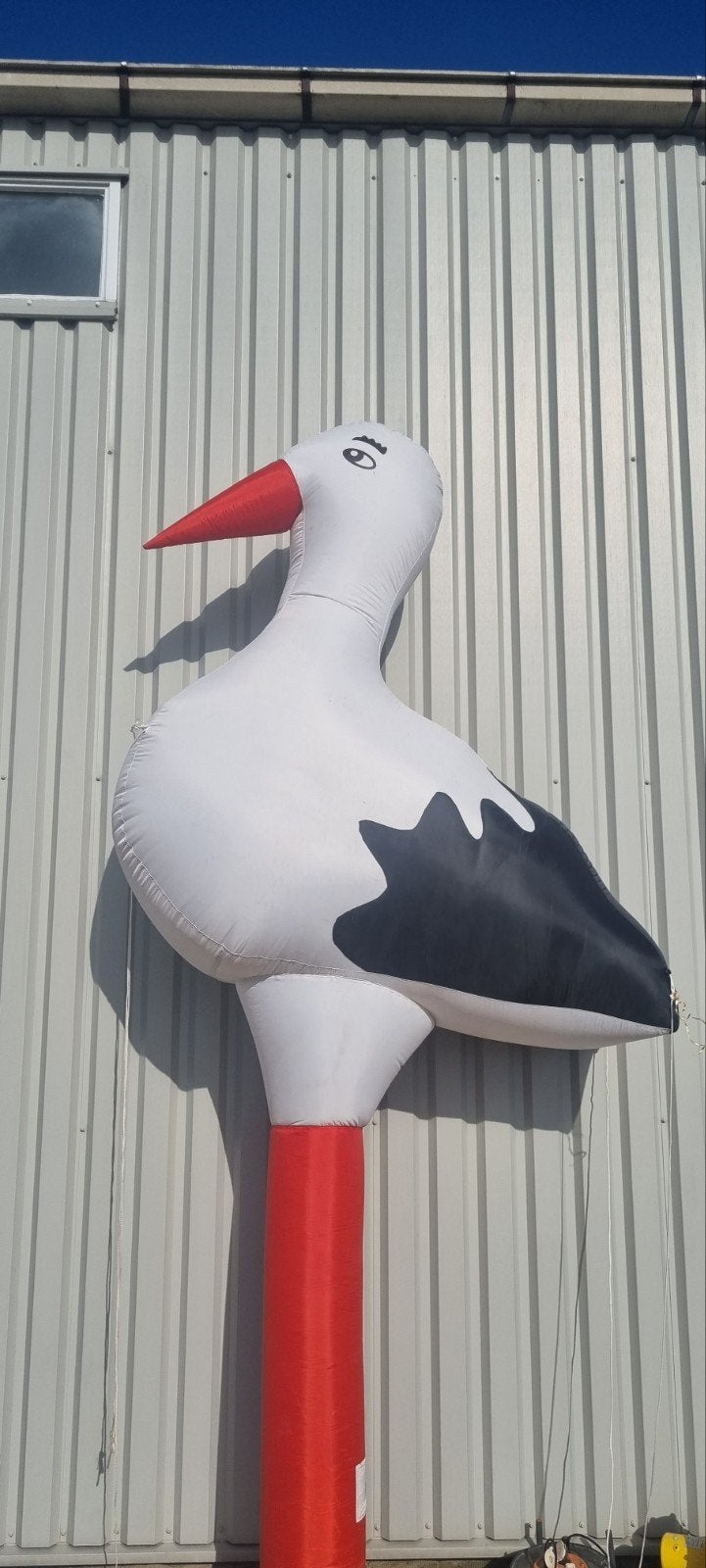 Ooievaar te koop, Ophalen