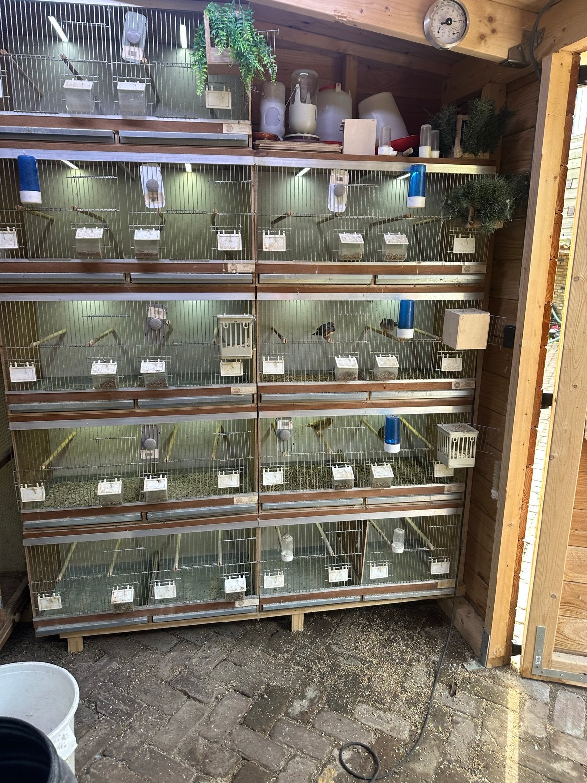 Broedkooien met led verlichting, Dieren en Toebehoren, Ophalen, Gebruikt, Broedkooi of Kweekkooi