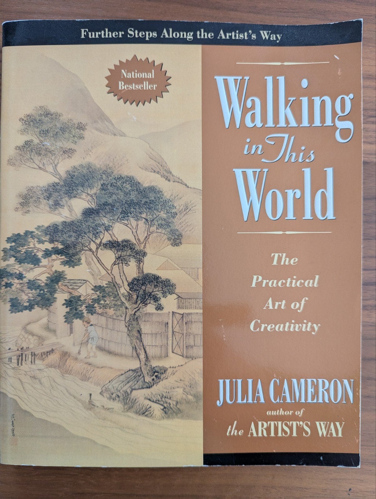 Julia Cameron - Walking in This World, Boeken, Achtergrond en Informatie, Ophalen of Verzenden, Zo goed als nieuw, Julia Cameron