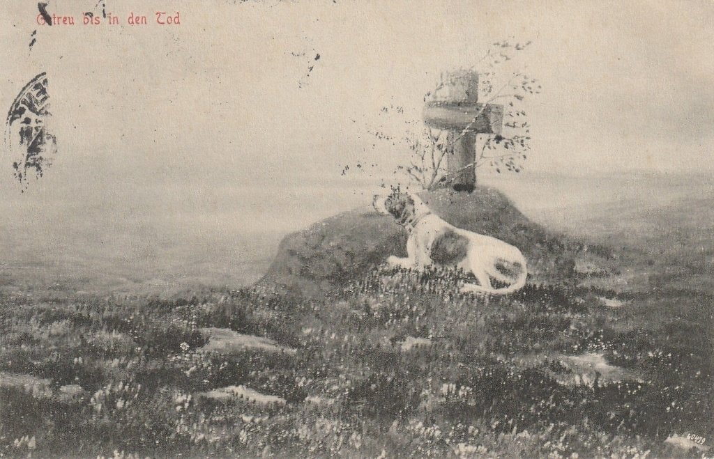 TRAGEDIE VOOR HOND , UIT 1915 , MOOIE OUDE KAART KO378, Ophalen of Verzenden, Voor 1920, Gelopen, Overige thema's