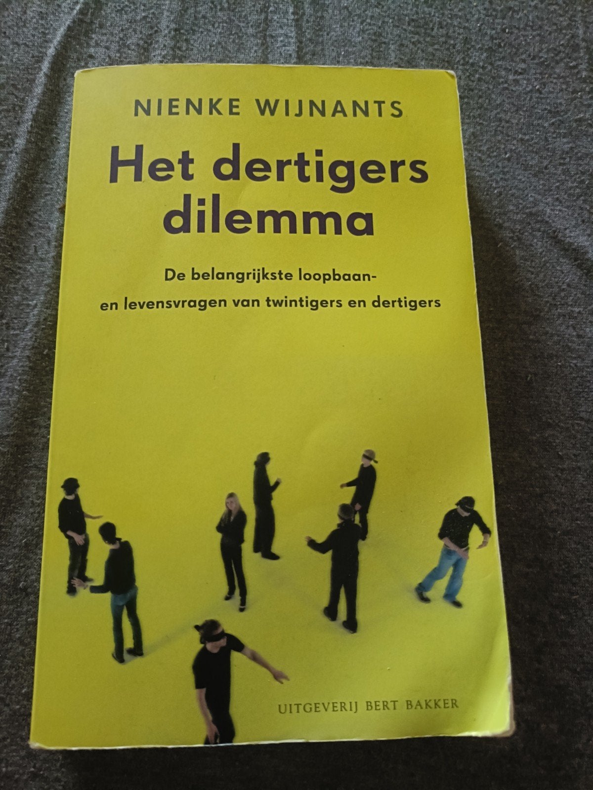 Nienke Wijnants - Het dertigersdilemma, Ophalen of Verzenden, Ontwikkelingspsychologie, Nienke Wijnants, Zo goed als nieuw