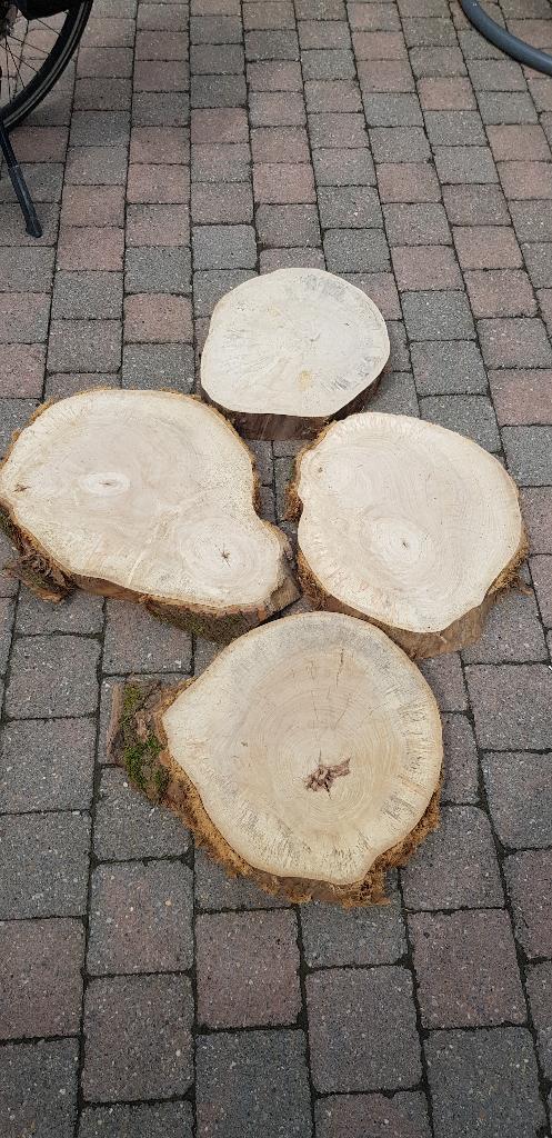Boomstammen schijf, 25 tot 50 mm, Nieuw, Ophalen of Verzenden, Plank
