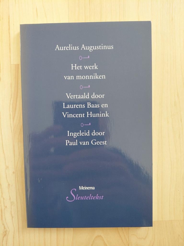 Aurelius Augustinus - Het werk van monniken, Boeken, Ophalen of Verzenden, Nieuw, Aurelius Augustinus