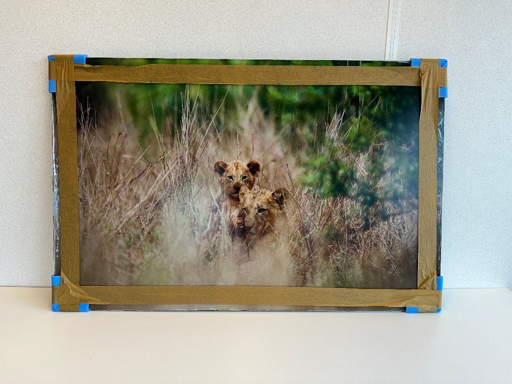 Twee nieuwe fotoprints op plexiglas African wildlife Zambia, Huis en Inrichting, Woonaccessoires | Schilderijen, Tekeningen en Foto's