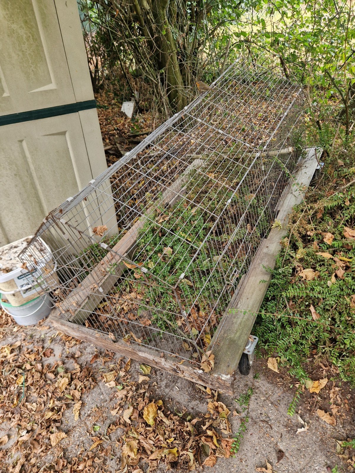 kippen ren op wielen⁹kipp, Tuin en Terras, Ophalen of Verzenden, Minder dan 10 meter