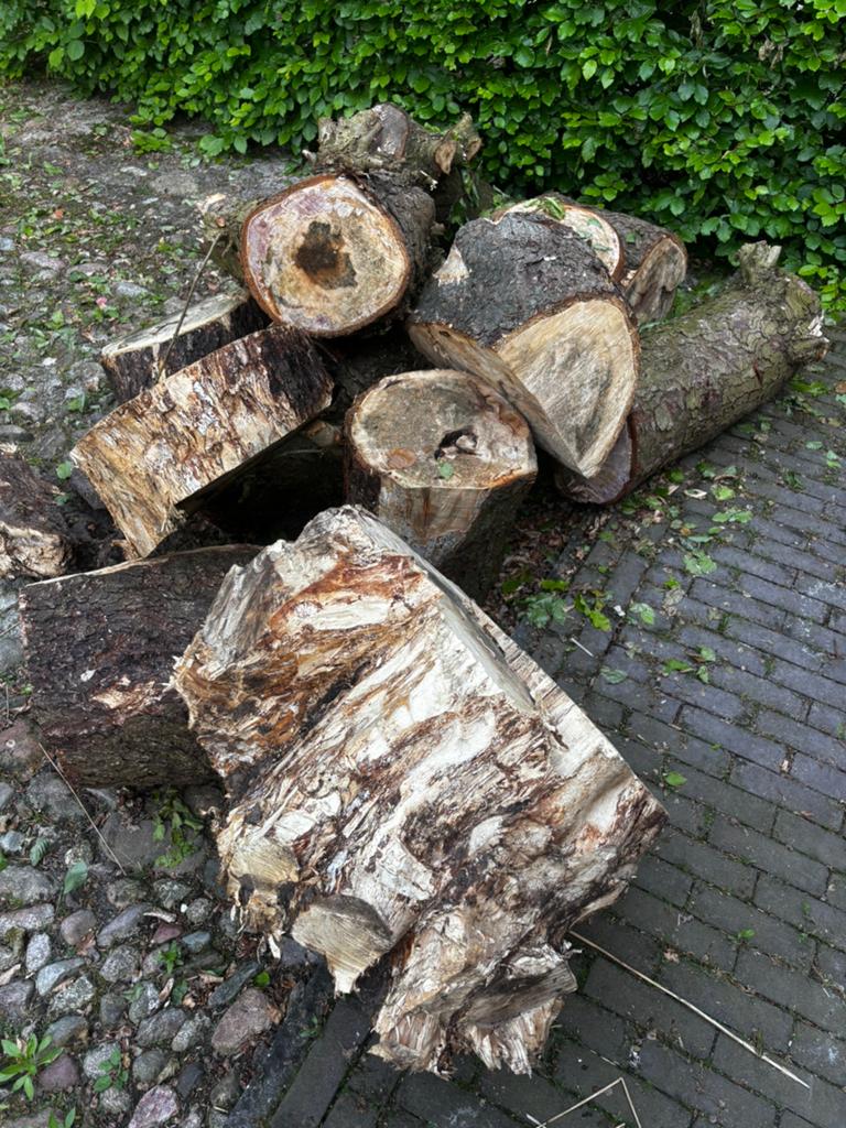 Gekapt kastanjehout, Minder dan 3 m³, Ophalen