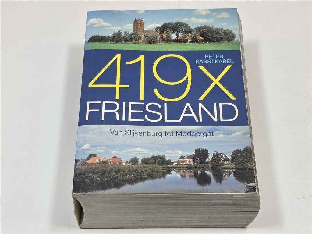 419x Friesland — Dik Fotoboek, 1024p. Dorpen, Steden..., Boeken, Ophalen of Verzenden, Gelezen