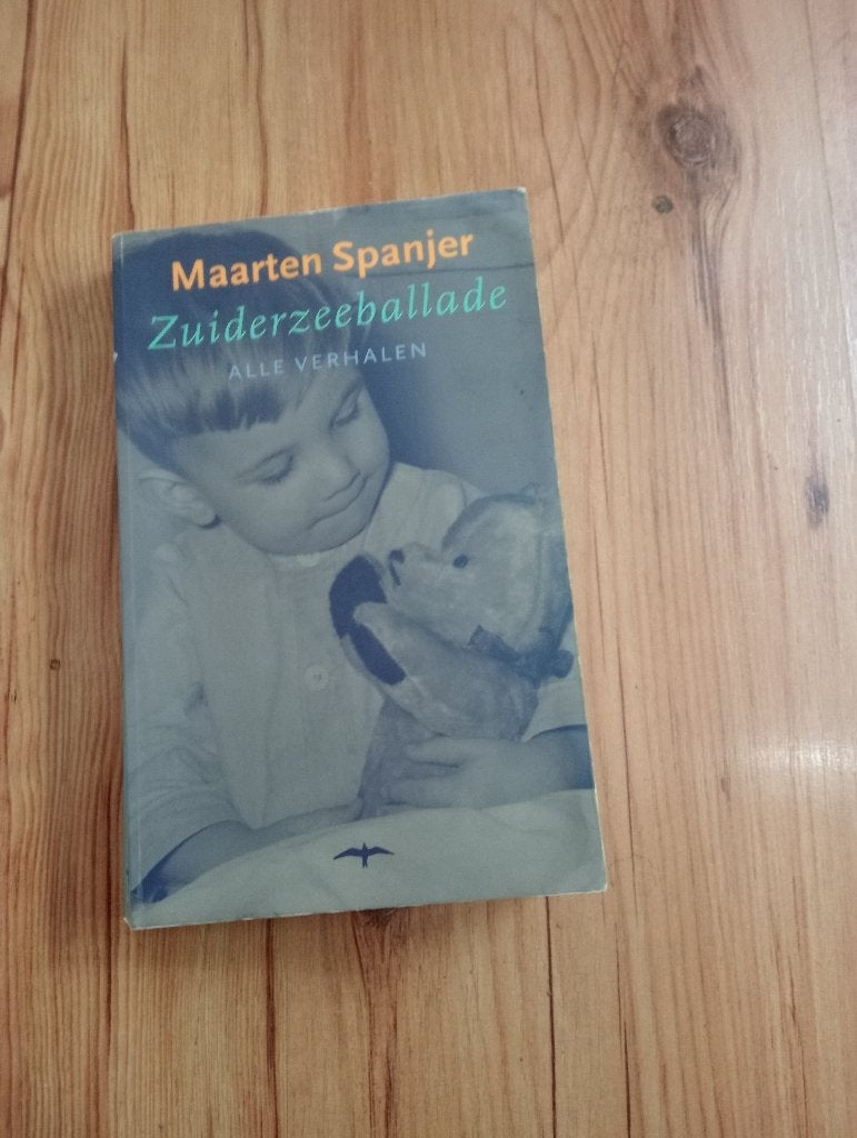 Boek Maarten Spanjer, Ophalen of Verzenden, Zo goed als nieuw
